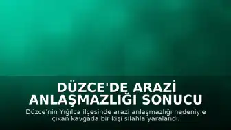 Düzce'de arazi anlaşmazlığı sonucu çıkan silahlı kavgada bir kişi yaralandı