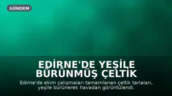 Edirne'de Yeşile Bürünmüş Çeltik Tarlaları Gökyüzünden Görüntülendi