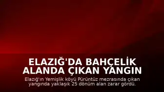 Elazığ'da Bahçelik Alanda Çıkan Yangın Kontrol Altına Alındı