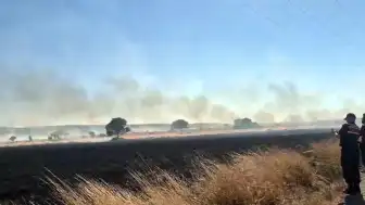 Eskişehir'de Yangın 3 Köy Ovasına Yayıldı, Ormanlık Alana İlerliyor