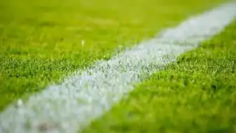 Fenerbahçe - Górnik Zabrze Maçı Sonrası Merak Edilenler: KSG Kısaltması Ne Anlama Geliyor?