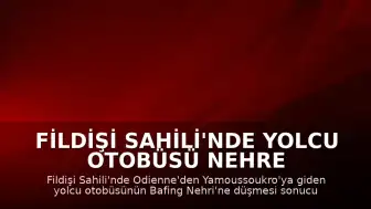 Fildişi Sahili'nde Yolcu Otobüsü Nehre Düştü: 24 Kişi Öldü