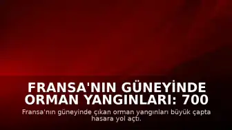 Fransa'nın güneyinde orman yangınları: 700 hektarlık alan küle döndü
