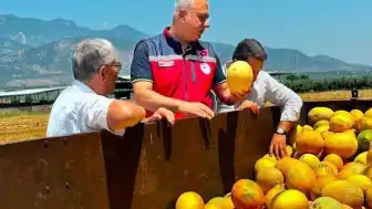 Hatay İl Tarım ve Orman Müdürü Abdurrahman Türkmen: Kırıkhan Kavunu Hasadı Sürüyor