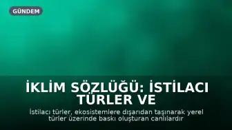 İklim Sözlüğü: İstilacı Türler ve Etkileri