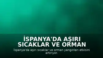 İspanya'da Aşırı Sıcaklar ve Orman Yangınları ile Mücadele Sürüyor