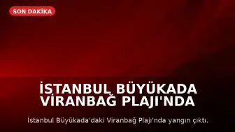 İstanbul Büyükada Viranbağ Plajı'nda Yangın Çıktı