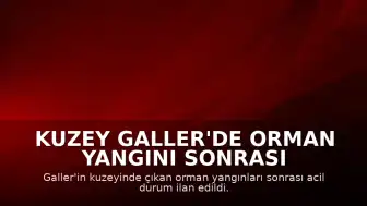 Kuzey Galler'de Orman Yangını Sonrası Acil Durum İlan Edildi