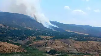 Malatya Pütürge'de Orman Yangını Çıktı