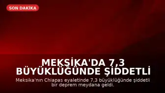 Meksika'da 7,3 Büyüklüğünde Şiddetli Deprem: Tsunami Uyarısı Yapıldı