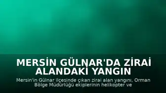 Mersin Gülnar'da Zirai Alandaki Yangın Kontrol Altına Alındı