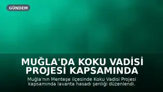 Muğla'da Koku Vadisi Projesi Kapsamında Lavanta Hasadı Başladı