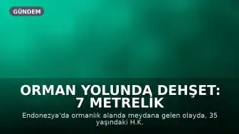 Orman Yolunda Dehşet: 7 Metrelik Piton 35 Yaşındaki H.K.'yi Yuttu