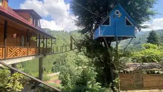 Rize'de İki Kardeşten Çocukluk Hayallerini Yansıtan Ağaç Ev Projesi