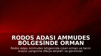 Rodos Adası Ammudes Bölgesinde Orman Yangını Çıktı