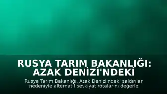 Rusya Tarım Bakanlığı: Azak Denizi'ndeki Durum İhracatı ve Gıda Arzını Etkilemeyecek