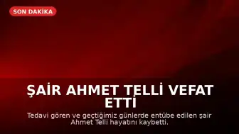 Şair Ahmet Telli vefat etti