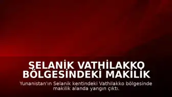 Selanik Vathilakko bölgesindeki makilik alanda yangın meydana geldi