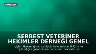 Serbest Veteriner Hekimler Derneği Genel Başkanı Bilsay Kanat: "Bize kaç hayvan toplandığını değil, kaçının yaşatıldığını söyleyin"