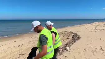 Sinop Sarıkum Tabiatı Koruma Alanı'nda Kapsamlı Temizlik Çalışması Yapıldı