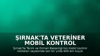 Şırnak'ta Veteriner Mobil Kontrol Noktalarıyla 600 Bin Küçükbaş Hayvan Denetlendi