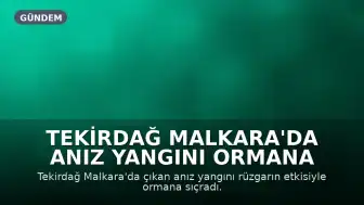 Tekirdağ Malkara'da Anız Yangını Ormana Sıçradı: 3 Saatte Kontrol Altına Alındı