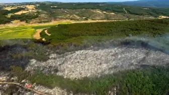 Tekirdağ Malkara'da Orman Yangını: Ekiplerin Müdahalesiyle Kontrol Altına Alındı
