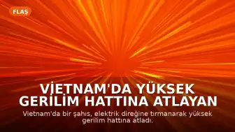 Vietnam'da Yüksek Gerilim Hattına Atlayan Şahıs Hayatını Kaybetti