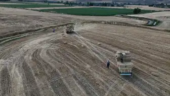 Yozgat'ta Mevsimlik Tarım İşçileri İçin Yüksek Kazanç Dönemi