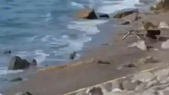 Zonguldak Filyos Sahili'nde Askeri İHA Bulundu: İnceleme Başlatıldı