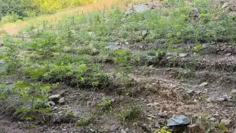 Bingöl'de Çeşitli Suçlardan 76 Şüpheli Yakalandı, 19'u Tutuklandı