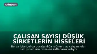 Çalışan Sayısı Düşük Şirketlerin Hisseleri Borsa İstanbul'da Zirveye Yerleşti