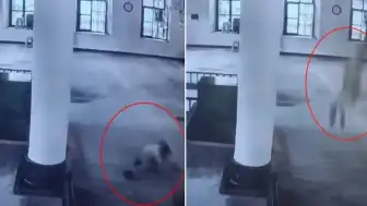 Giresun'da 11 Yaşındaki Çocuk İddiaya Girdi, Camideki Mahfilden Atladi