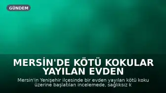 Mersin'de Kötü Kokular Yayılan Evden Yaklaşık 100 Kedi Kurtarıldı