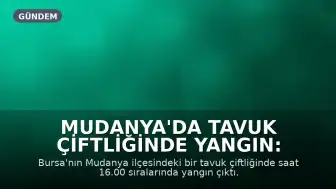 Mudanya'da Tavuk Çiftliğinde Yangın: İtfaiye Ekipleri Müdahale Ediyor