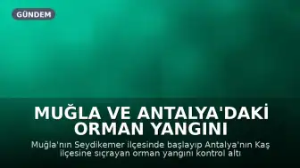 Muğla ve Antalya'daki Orman Yangını Kontrol Altına Alındı