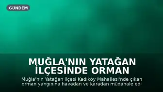Muğla'nın Yatağan İlçesinde Orman Yangını: Havadan ve Karadan Müdahale Devam Ediyor