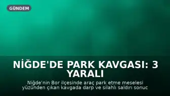Niğde'de Park Kavgası: 3 Yaralı