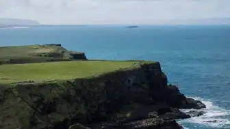 Rathlin Adası'nda Yaban Gelincikleri Temizlendi, Deniz Kuşları Yeniden Yuvalanıyor