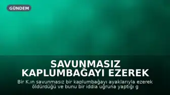 Savunmasız Kaplumbağayı Ezerek Öldüren K. ve Erkeğe Tepki Yağıyor