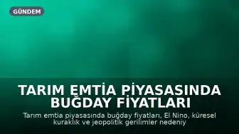 Tarım Emtia Piyasasında Buğday Fiyatları İklimsel ve Jeopolitik Faktörlerden Etkileniyor