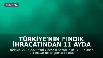 Türkiye'nin Fındık İhracatından 11 Ayda 2,4 Milyar Dolar Gelir