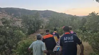 Bingöl'de Kaybolan Vatandaş Ormanlık Alanda Sağ Bulundu