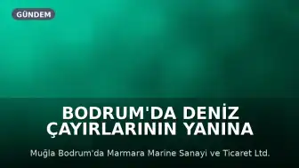 Bodrum'da Deniz Çayırlarının Yanına Tekne İmalat Tesisi İnşa Edilecek