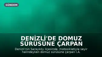 Denizli'de Domuz Sürüsüne Çarpan Motosiklet Sürücüsü Hayatını Kaybetti