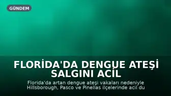 Florida'da Dengue Ateşi Salgını Acil Durum İlanını Tetikledi