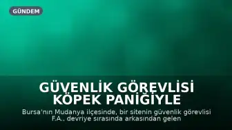 Güvenlik Görevlisi Köpek Paniğiyle Kaçarken Çukura Düştü: Yaralandı