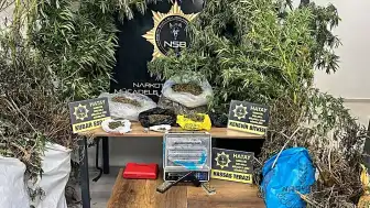 Hatay'da Uyuşturucu Operasyonu: 1 Kişi Tutuklandı, 122 Kök Kenevir ve 14 Kilo Esrar Ele Geçirildi