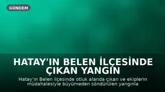 Hatay'ın Belen İlçesinde Çıkan Yangın Söndürüldü