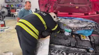 İskenderun'da Araç Motorlarında Sıkışan Kediler İtfaiye Tarafından Kurtarıldı